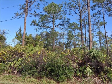 Build your dream home on this oversized wooded lot in the on The Grand Club - Pine Lakes Course in Florida - for sale on GolfHomes.com, golf home, golf lot