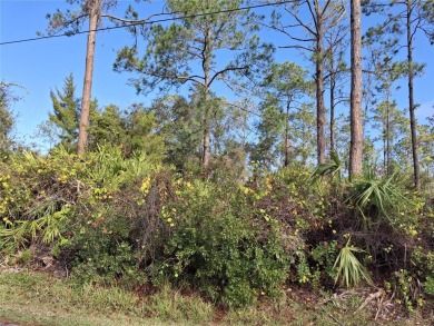 Build your dream home on this oversized wooded lot in the on The Grand Club - Pine Lakes Course in Florida - for sale on GolfHomes.com, golf home, golf lot