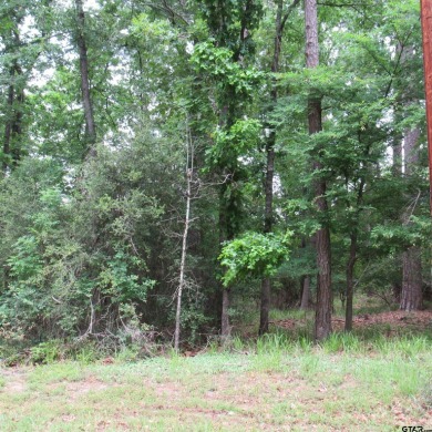 Half Acre Lot available in Holly Lake Ranch. Utilities at the on Holly Lake Ranch Golf Club in Texas - for sale on GolfHomes.com, golf home, golf lot