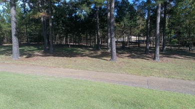 One of the last best lots in Diamante subdivision.  On the 18th on Diamante Golf and Country Club in Arkansas - for sale on GolfHomes.com, golf home, golf lot