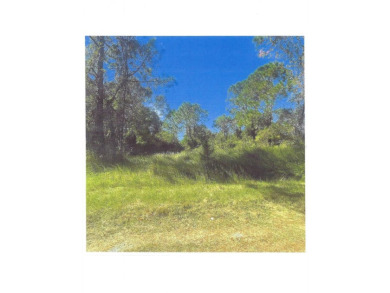 Look no further .  Here is an opportunity to purchase a 1/2 acre on Indian Lake Estates Golf and Country Club in Florida - for sale on GolfHomes.com, golf home, golf lot