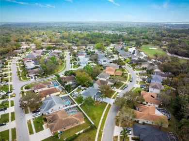 Located in a quiet neighborhood in the popular East Lake on East Lake Woodlands Country Club in Florida - for sale on GolfHomes.com, golf home, golf lot