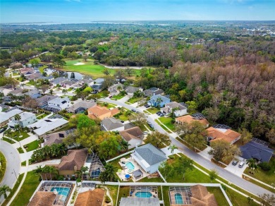 Located in a quiet neighborhood in the popular East Lake on East Lake Woodlands Country Club in Florida - for sale on GolfHomes.com, golf home, golf lot