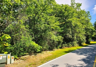 Wooded mountain lot in the Lake Toxaway Estates ideally suited on Lake Toxaway Country Club in North Carolina - for sale on GolfHomes.com, golf home, golf lot