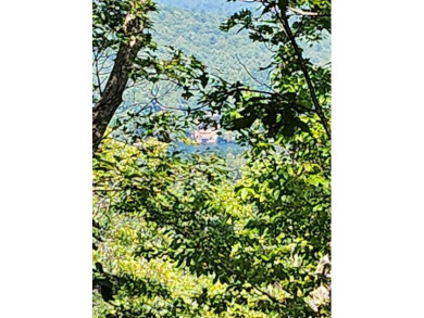 Wooded mountain lot in the Lake Toxaway Estates ideally suited on Lake Toxaway Country Club in North Carolina - for sale on GolfHomes.com, golf home, golf lot