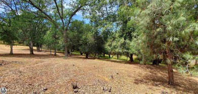 Beautiful Pine Mountain Lake Double Lot: Nearly level, Easy on Pine Mountain Lake Country Club in California - for sale on GolfHomes.com, golf home, golf lot