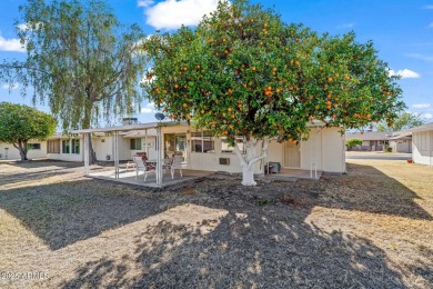 Discover this charming move-in ready gemini/twin home featuring on Sun City Lakes West and East in Arizona - for sale on GolfHomes.com, golf home, golf lot