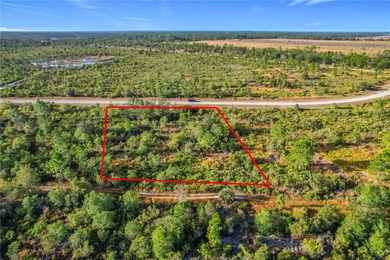 Build your Florida dream on this 1-acre homesite located at Lot on Indian Lake Estates Golf and Country Club in Florida - for sale on GolfHomes.com, golf home, golf lot