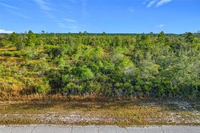 Build your Florida dream on this 1-acre homesite located at Lot on Indian Lake Estates Golf and Country Club in Florida - for sale on GolfHomes.com, golf home, golf lot