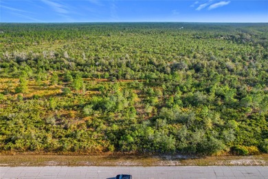 Build your Florida dream on this 1-acre homesite located at Lot on Indian Lake Estates Golf and Country Club in Florida - for sale on GolfHomes.com, golf home, golf lot
