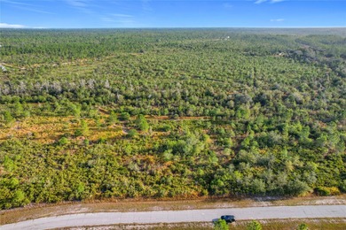 Build your Florida dream on this 1-acre homesite located at Lot on Indian Lake Estates Golf and Country Club in Florida - for sale on GolfHomes.com, golf home, golf lot