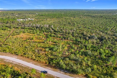 Build your Florida dream on this 1-acre homesite located at Lot on Indian Lake Estates Golf and Country Club in Florida - for sale on GolfHomes.com, golf home, golf lot