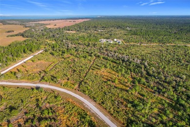 Build your Florida dream on this 1-acre homesite located at Lot on Indian Lake Estates Golf and Country Club in Florida - for sale on GolfHomes.com, golf home, golf lot