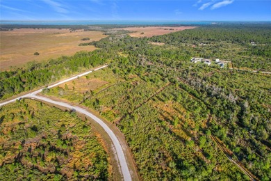 Build your Florida dream on this 1-acre homesite located at Lot on Indian Lake Estates Golf and Country Club in Florida - for sale on GolfHomes.com, golf home, golf lot