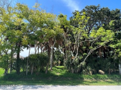 WOW !!! Saltwater homesite in Sailboat Country. High and dry on Palm Harbor Golf Club in Florida - for sale on GolfHomes.com, golf home, golf lot