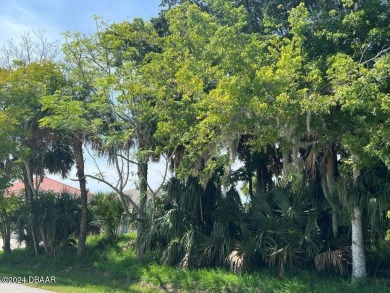 WOW !!! Saltwater homesite in Sailboat Country. High and dry on Palm Harbor Golf Club in Florida - for sale on GolfHomes.com, golf home, golf lot