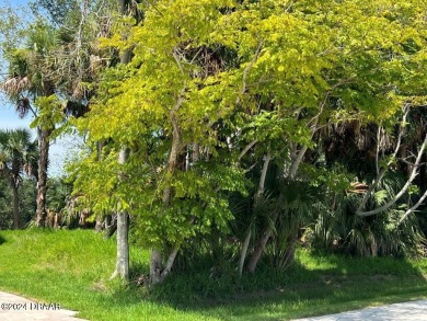 WOW !!! Saltwater homesite in Sailboat Country. High and dry on Palm Harbor Golf Club in Florida - for sale on GolfHomes.com, golf home, golf lot