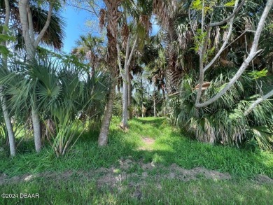 WOW !!! Saltwater homesite in Sailboat Country. High and dry on Palm Harbor Golf Club in Florida - for sale on GolfHomes.com, golf home, golf lot