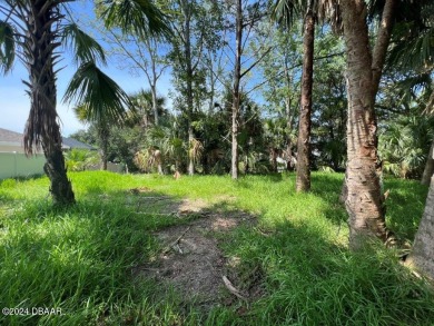 WOW !!! Saltwater homesite in Sailboat Country. High and dry on Palm Harbor Golf Club in Florida - for sale on GolfHomes.com, golf home, golf lot