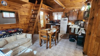 Virgin Lake Cottage on Big Stone Golf and Country Club in Wisconsin - for sale on GolfHomes.com, golf home, golf lot