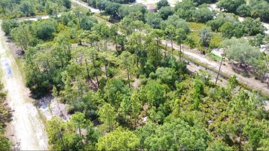 Build Your Dream Home in Indian Lake Estates!
Welcome to 514 on Indian Lake Estates Golf and Country Club in Florida - for sale on GolfHomes.com, golf home, golf lot