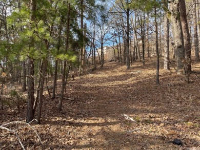 You will love this Residential Lot to Build on!  It's right at on Maumelle Golf and Country Club in Arkansas - for sale on GolfHomes.com, golf home, golf lot