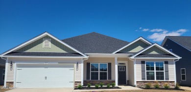 Welcome to 913 Bee Tree Court, your new home sweet home! Let's on Harbour Point Golf Club in North Carolina - for sale on GolfHomes.com, golf home, golf lot