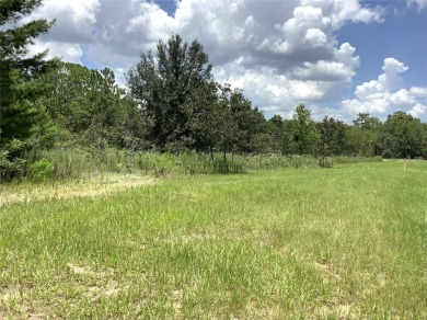 Commercial Lot Zone B2. On busy main road in Rapidly growing on Marion Oaks Country Club in Florida - for sale on GolfHomes.com, golf home, golf lot