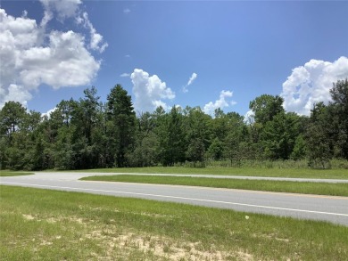Commercial Lot Zone B2. On busy main road in Rapidly growing on Marion Oaks Country Club in Florida - for sale on GolfHomes.com, golf home, golf lot