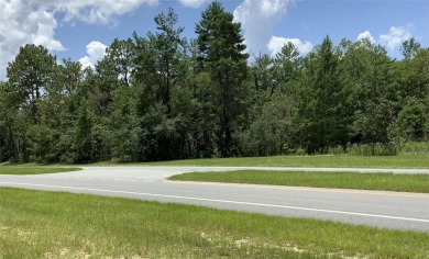 Commercial Lot Zone B2. On busy main road in Rapidly growing on Marion Oaks Country Club in Florida - for sale on GolfHomes.com, golf home, golf lot