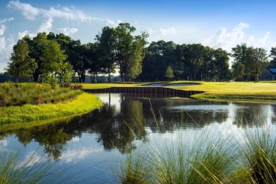 55+ Home, Single Story Design, Spacious Great Room, Large on Trilogy at Ocala Preserve in Florida - for sale on GolfHomes.com, golf home, golf lot