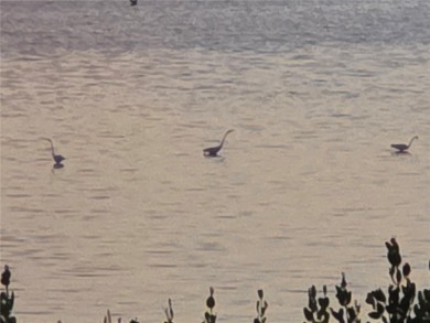 3/2 First Floor Condo Located on Sarasota Bay 
Priced to Sell on IMG Academies Golf and Country Club in Florida - for sale on GolfHomes.com, golf home, golf lot