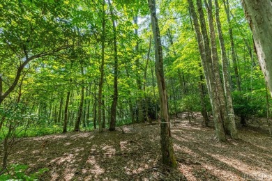 Wonderful +/- 5.25 acre high elevation lot at +/- 4000ft, That on Natures Walk At Chinquapin in North Carolina - for sale on GolfHomes.com, golf home, golf lot