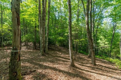 Wonderful +/- 5.25 acre high elevation lot at +/- 4000ft, That on Natures Walk At Chinquapin in North Carolina - for sale on GolfHomes.com, golf home, golf lot