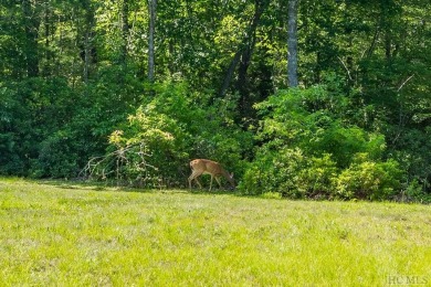 Wonderful +/- 5.25 acre high elevation lot at +/- 4000ft, That on Natures Walk At Chinquapin in North Carolina - for sale on GolfHomes.com, golf home, golf lot