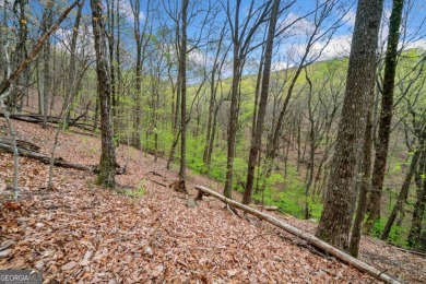 This beautiful vacant lot is more than just land Co it's a rare on Bent Tree Golf Course in Georgia - for sale on GolfHomes.com, golf home, golf lot