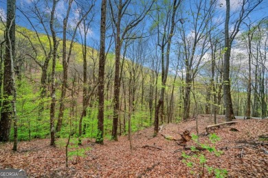 This beautiful vacant lot is more than just land Co it's a rare on Bent Tree Golf Course in Georgia - for sale on GolfHomes.com, golf home, golf lot