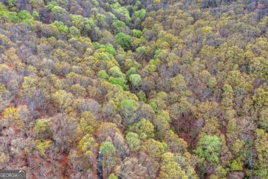 This beautiful vacant lot is more than just land Co it's a rare on Bent Tree Golf Course in Georgia - for sale on GolfHomes.com, golf home, golf lot