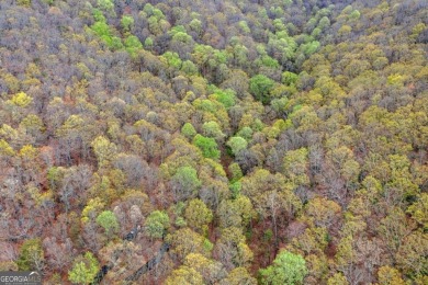 This beautiful vacant lot is more than just land Co it's a rare on Bent Tree Golf Course in Georgia - for sale on GolfHomes.com, golf home, golf lot