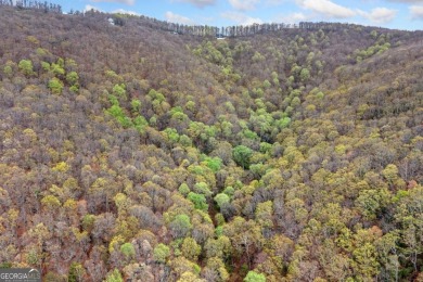 This beautiful vacant lot is more than just land Co it's a rare on Bent Tree Golf Course in Georgia - for sale on GolfHomes.com, golf home, golf lot