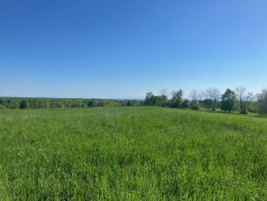 218 acre development lot with aprox 1100 ft of road frontage and on Alburg Golf Links in Vermont - for sale on GolfHomes.com, golf home, golf lot