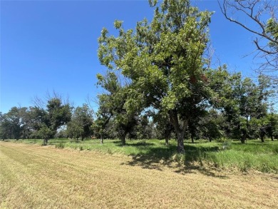 PILOTS! FLY IN to view this stunning 1.28-acre homesite with on Pecan Plantation Country Club in Texas - for sale on GolfHomes.com, golf home, golf lot