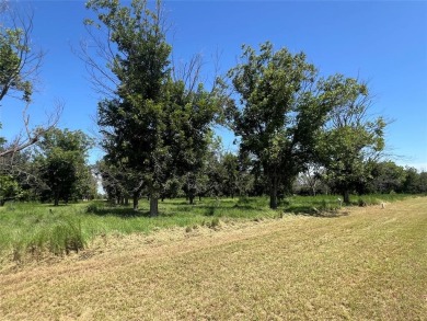 PILOTS! FLY IN to view this stunning 1.28-acre homesite with on Pecan Plantation Country Club in Texas - for sale on GolfHomes.com, golf home, golf lot