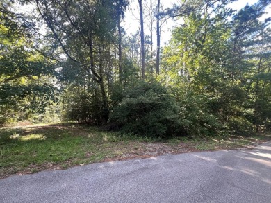 Build your dream home on this prime corner lot in Rayburn on Rayburn Country Club in Texas - for sale on GolfHomes.com, golf home, golf lot