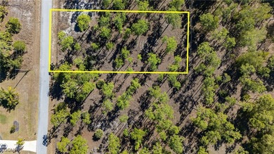 Beautiful 1/2 ACRE lot offering an excellent setting for a on Lehigh Resort Club in Florida - for sale on GolfHomes.com, golf home, golf lot