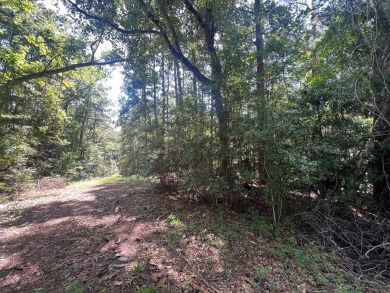 Build your dream home on this prime corner lot in Rayburn on Rayburn Country Club in Texas - for sale on GolfHomes.com, golf home, golf lot