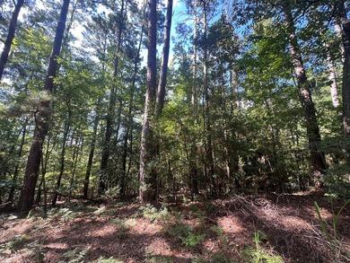 Build your dream home on this prime corner lot in Rayburn on Rayburn Country Club in Texas - for sale on GolfHomes.com, golf home, golf lot