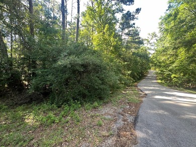 Build your dream home on this prime corner lot in Rayburn on Rayburn Country Club in Texas - for sale on GolfHomes.com, golf home, golf lot