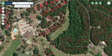 Build your dream home on this prime corner lot in Rayburn on Rayburn Country Club in Texas - for sale on GolfHomes.com, golf home, golf lot