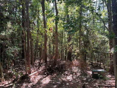 Build your dream home on this prime corner lot in Rayburn on Rayburn Country Club in Texas - for sale on GolfHomes.com, golf home, golf lot